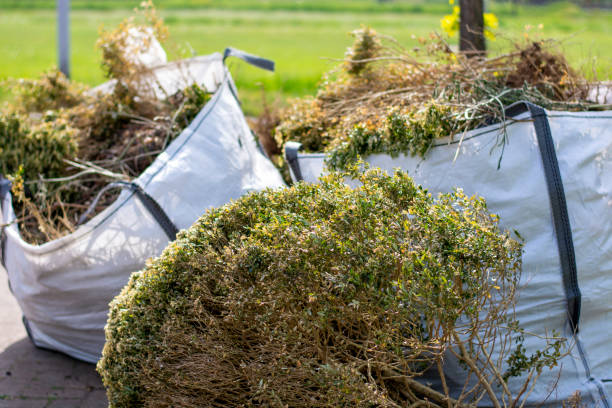 Best Local Junk Hauling  in Apple Creek, OH