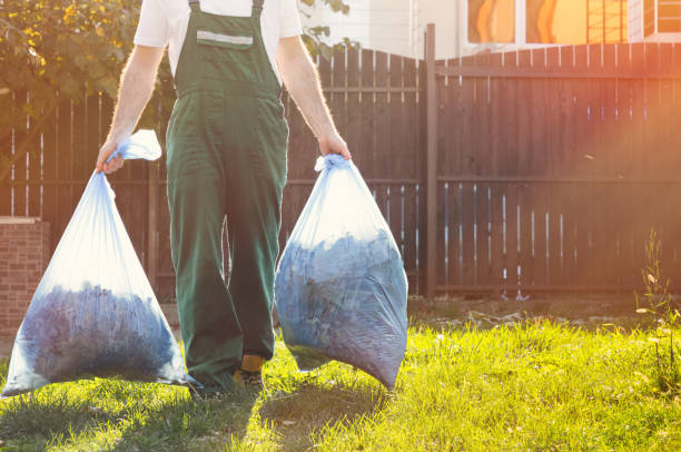 Best Professional Junk Removal  in Apple Creek, OH